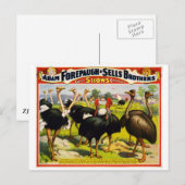 1898 ostrich circus vintage poster briefkaart (Voorkant / Achterkant)
