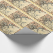 1898 Topografische kaart van Massachusetts uit Bos Cadeaupapier (Hoek)