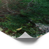 1899 Barn Poster (Hoek)