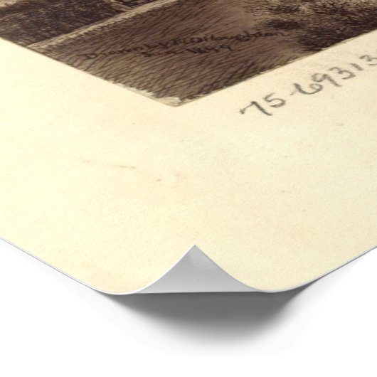 1899 Fort Collins, CO Birds Eye Uitzicht Panoramic Poster (Hoek)