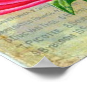 1899 John Lewis Childs Tuinbouw Bloemen Vintage Poster (Hoek)