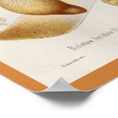  1899 Paddenstoelen Geel Oranje afdrukken Poster (Hoek)