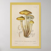  1899 Paddenstoelen met bruin geel kunstwerk Poster (Voorkant)