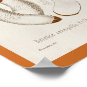  1899 paddenstoelen  Oranje afdrukken Poster (Hoek)