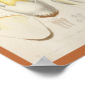  1899 Paddenstoelen Oranje geel afdrukken Poster (Hoek)