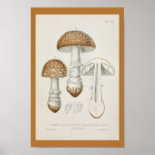  1899 paddenstoelen  Pet afdrukken Poster (Voorkant)