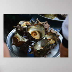 18×12 Haenyeo Sora Conch Oogst Foto Print