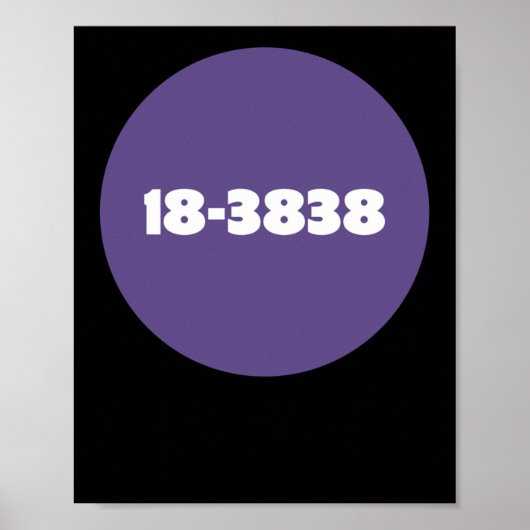 18-3838 POSTER (Voorkant)