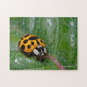 18-Geel en zwart Ladybug Legpuzzel
