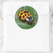 18-Geel en zwart Ladybug Ronde Sticker (Tas)