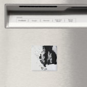 18 januari 2010 - Ross Zee, Antarctica Magneet (Insitu (Vaatwasser))