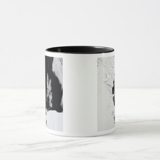 18 januari 2010 - Ross Zee, Antarctica Mok (Midden)