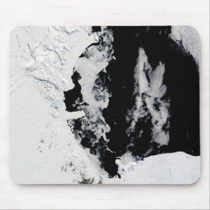 18 januari 2010 - Ross Zee, Antarctica Muismat