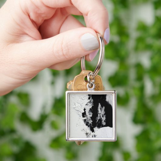 18 januari 2010 - Ross Zee, Antarctica Sleutelhanger (Hand)