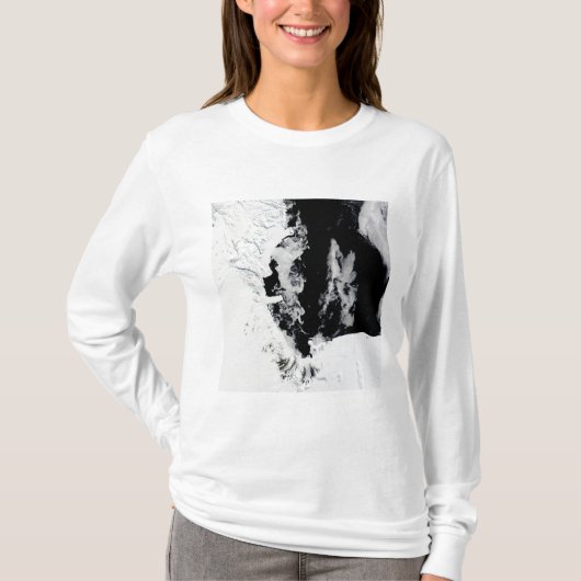 18 januari 2010 - Ross Zee, Antarctica T-shirt (Voorkant)