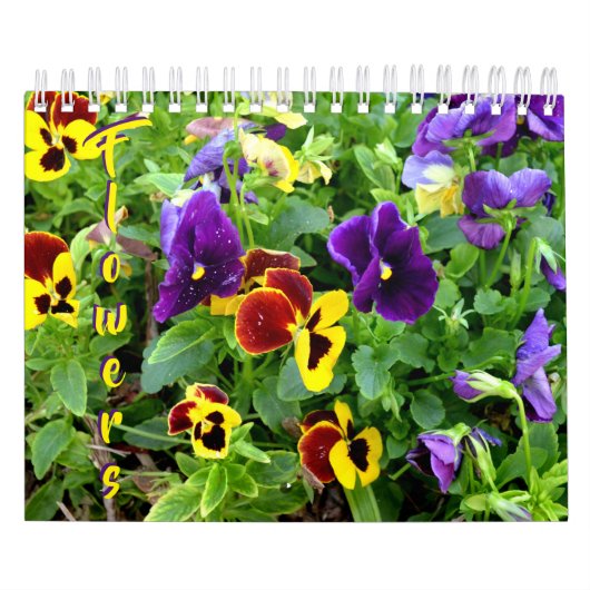 18 maanden lagere kalender (Hoes)