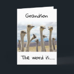 **18** U BENT NU TEENAGER **GRANDSON** KAART<br><div class="desc">GELUKKIG BIEDDAY ***GRANDSON*** BEDANKT VOOR HET OPSLAAN MET EEN VAN MIJN ACHT OPSLAGEN!</div>