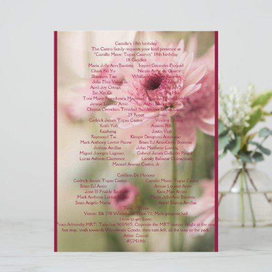 18E CAMILLE PROGRAMMAKAART (Staand voorkant)