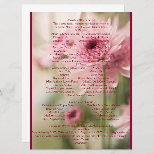 18E CAMILLE PROGRAMMAKAART (Voorkant / Achterkant)