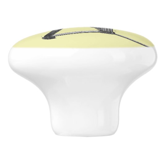 18e eeuw Microscoop Antiek wetenschapsINSTRUMENT Keramische Knop (Zijkant)