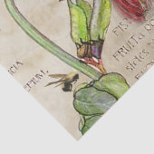 18e eeuw Royal Ephemera Tissuepapier (Detail)