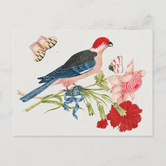 18e-eeuwse  vogels, bloemen en vlinders briefkaart (Voorkant)