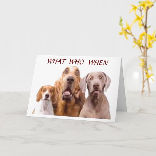 **18e*** GROTE DAG **HOE WAT IS HET?** Kaart (Gele Bloem)