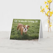 **18e TWEEDE DAG** BULLDOG IS EEN COMEDIAN Kaart (Gele Bloem)