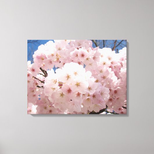 18x24 Boom Bloesem Canvas Prints (Voorkant)
