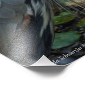 18x24 Great Blue Heron Foto Afdruk (Hoek)