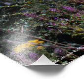 18x24-montagemogelijkheden voor St. Helens Foto Afdruk (Hoek)