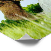 18x24 Poster papier (Matte) met grizzly beer cub (Hoek)