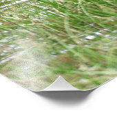 18x24 Ventilatorfoto van de molen Foto Afdruk (Hoek)