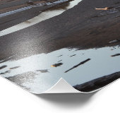 18x24Ruby Beach on the Pacific Ocean Foto Afdruk (Hoek)