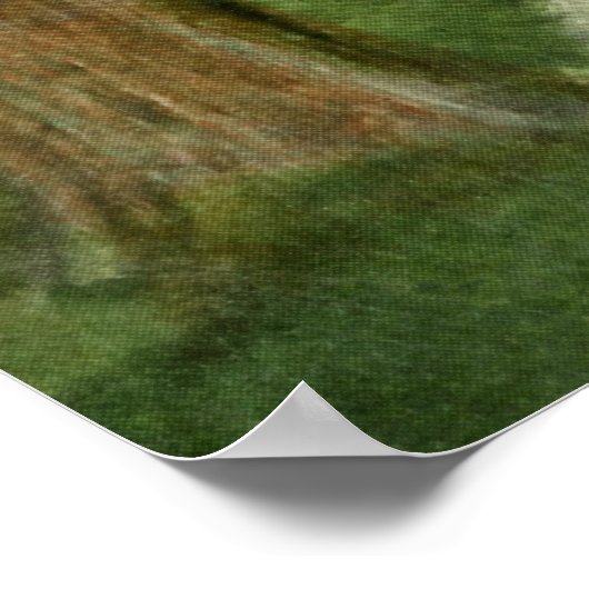  1900 Common and State House Boston MA Poster (Hoek)