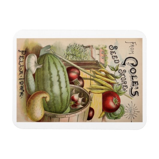 1900 - Koolstofzaadwinkel en Magneet (Horizontaal)