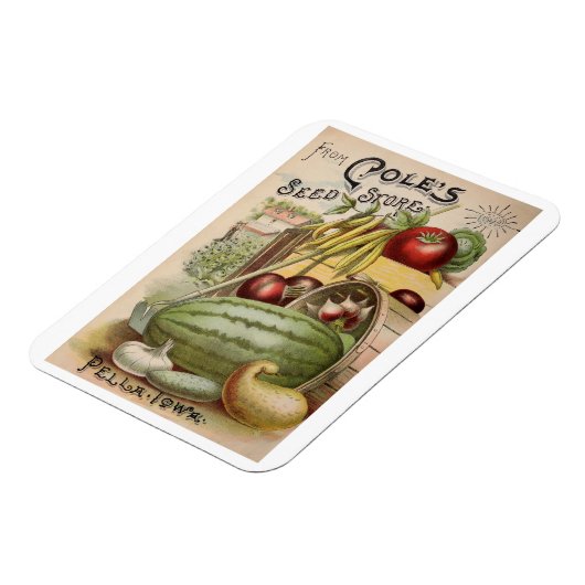  1900 - Koolstofzaadwinkel en Magneet (Linkerzijde)