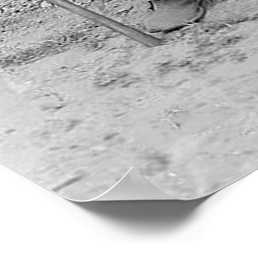 1900 Poster van de zuidelijke keten (Hoek)