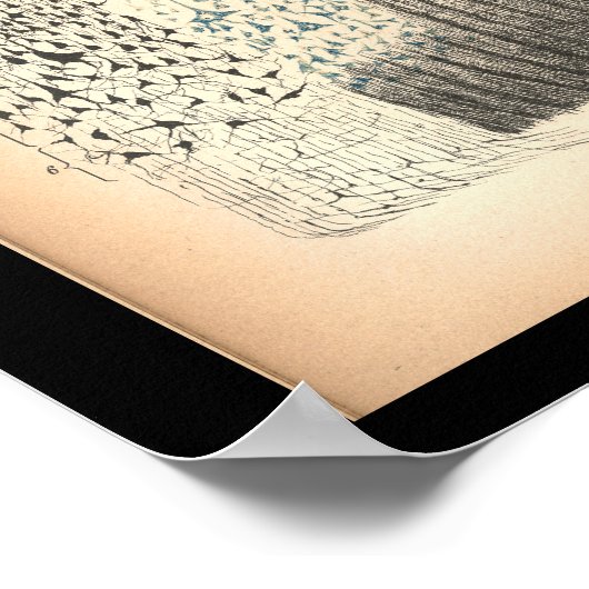  1901 hersencellen Anatomy Print (Hoek)