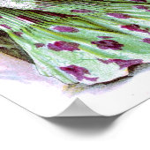 1901 jurken poster (Hoek)