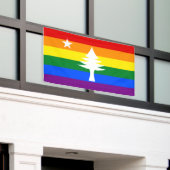 1901 Maine Flag Outdoorbanner - Rainbow Edition Spandoek (Buitenkant Gebouw)