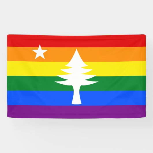 1901 Maine Flag Outdoorbanner - Rainbow Edition Spandoek (Horizontaal)