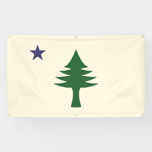 1901 Maine Flag Outdoorbanner Spandoek (Horizontaal)
