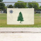 1901 Maine Flag Outdoorbanner - stijl Spandoek (Insitu)