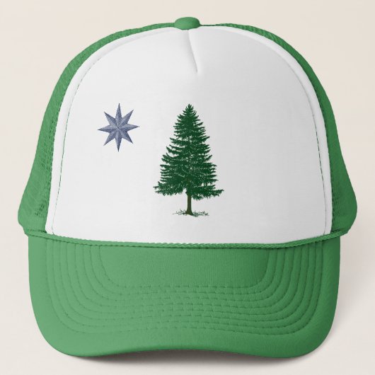 1901 Maine Flag Pet -  stijl (Voorkant)