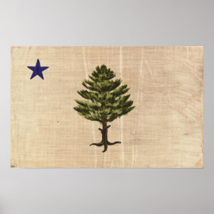  1901 Maine Flag Print (Gebouwd)
