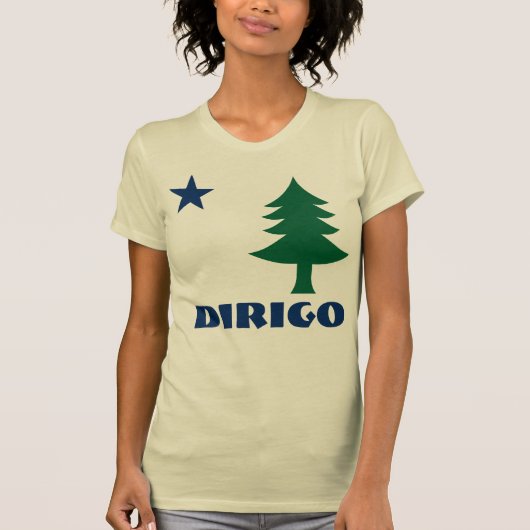 1901 Maine Flag T-Shirt - Dirigo Edition (Voorkant)