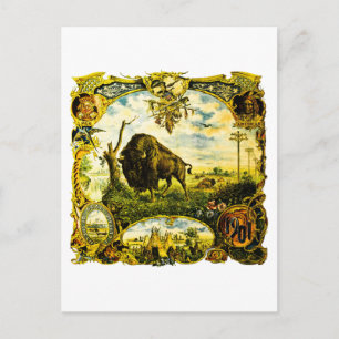 1901 Pan American Expo Buffalo NY Inheemse Motief Briefkaart