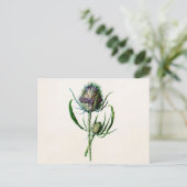 1902 Oude Schotse Thistle Wild Flower Briefkaart (Staand voorkant)