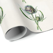  1902 Oude Schotse Thistle Wild Flower Cadeaupapier (Rol Hoek)